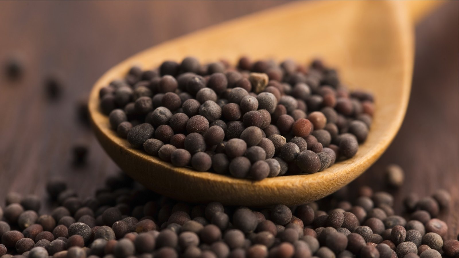 Brown-Mustard-Seeds