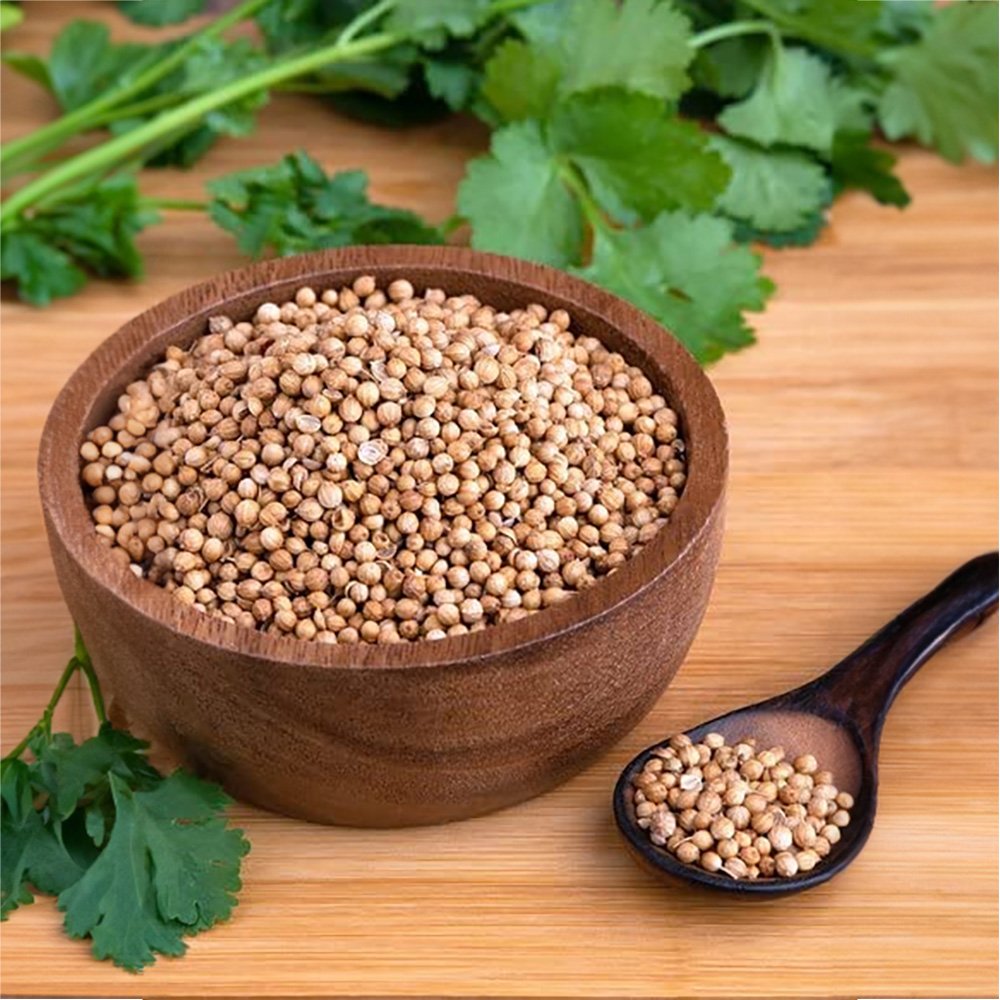 Coriander-Seeds-Chinese-parsley