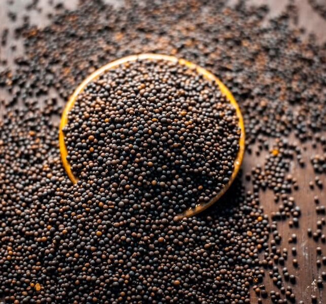 Mustard-Seeds