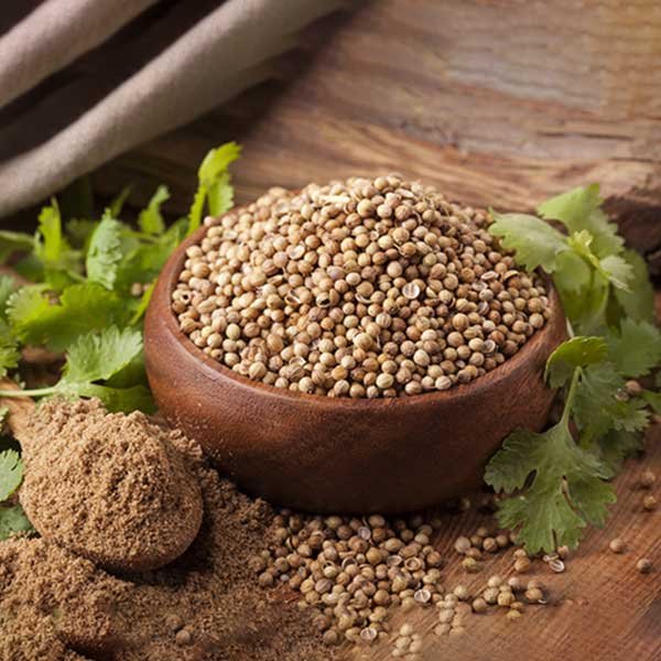 coriander-seed