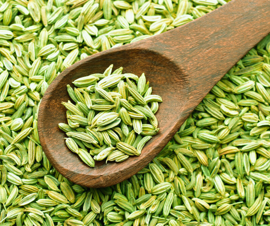 fennel-seeds-1