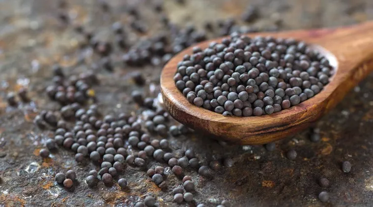 mustard-seeds_759